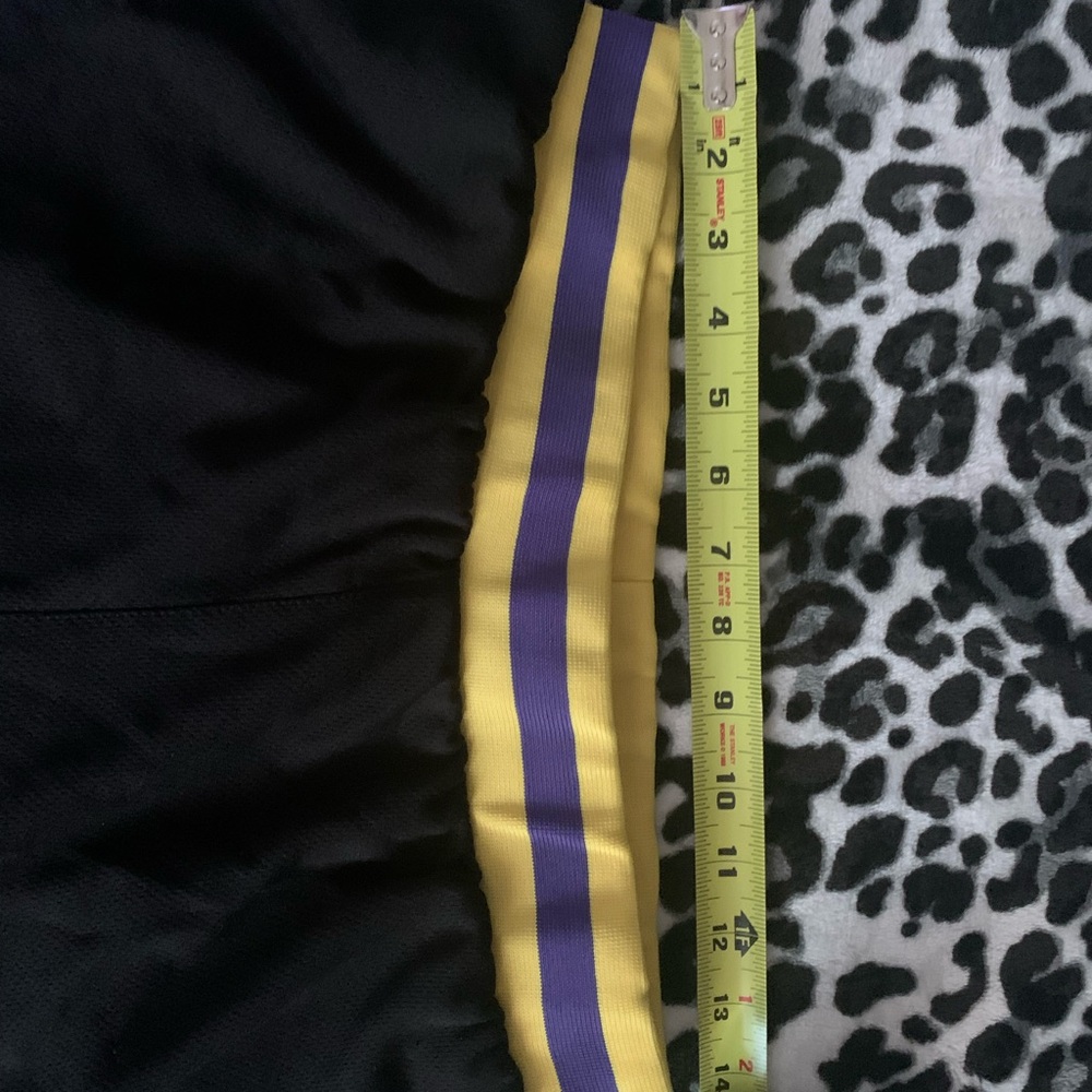 LeBron James Basketball Shorts - Picture 3 of 8